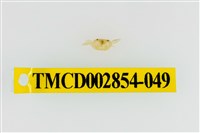 藏品(細足澤蟹)的圖片